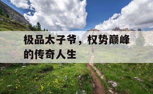 极品太子爷，权势巅峰的传奇人生