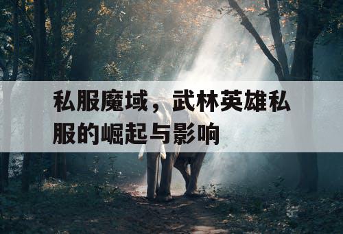 私服魔域，武林英雄私服的崛起与影响