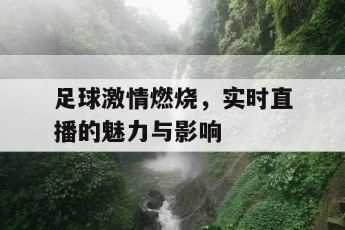 足球激情燃烧，实时直播的魅力与影响