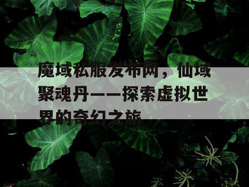 魔域私服发布网，仙域聚魂丹——探索虚拟世界的奇幻之旅