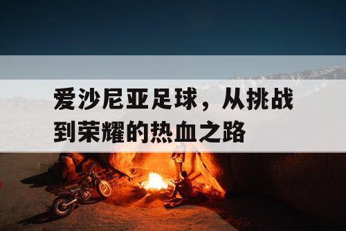 爱沙尼亚足球，从挑战到荣耀的热血之路