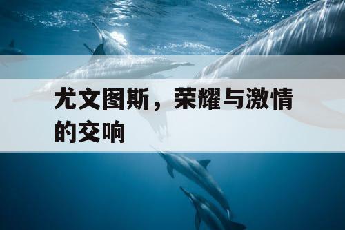 尤文图斯，荣耀与激情的交响