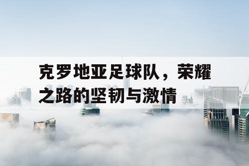 克罗地亚足球队，荣耀之路的坚韧与激情