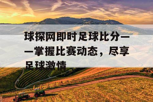 球探网即时足球比分——掌握比赛动态，尽享足球激情