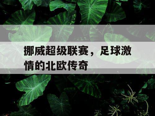 挪威超级联赛，足球激情的北欧传奇