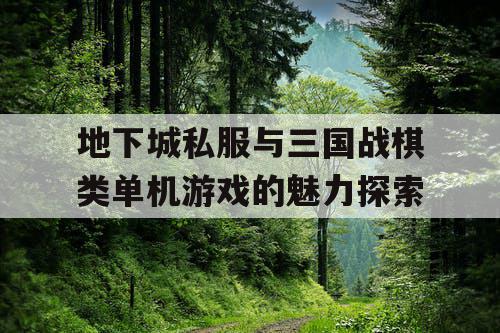 地下城私服与三国战棋类单机游戏的魅力探索
