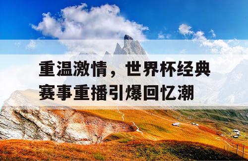 重温激情，世界杯经典赛事重播引爆回忆潮