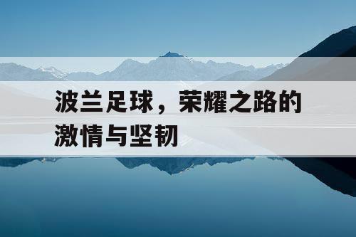 波兰足球，荣耀之路的激情与坚韧
