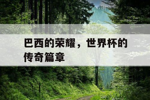 巴西的荣耀，世界杯的传奇篇章