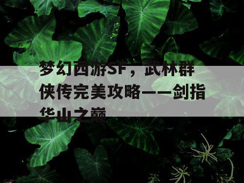 梦幻西游SF，武林群侠传完美攻略——剑指华山之巅