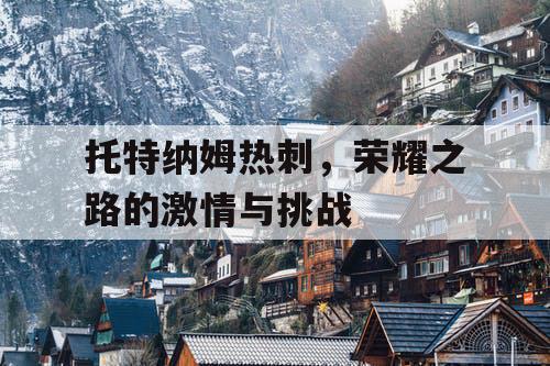 托特纳姆热刺，荣耀之路的激情与挑战