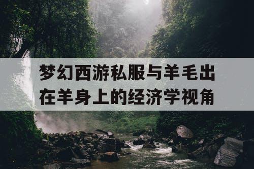 梦幻西游私服与羊毛出在羊身上的经济学视角