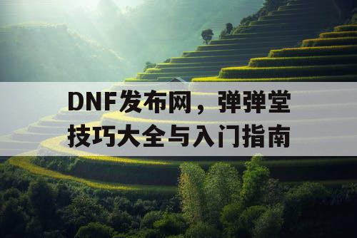 DNF发布网,弹弹堂技巧大全与入门指南 DNF发布网,弹弹堂技巧大全与入门指南