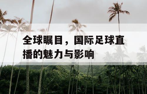 全球瞩目，国际足球直播的魅力与影响