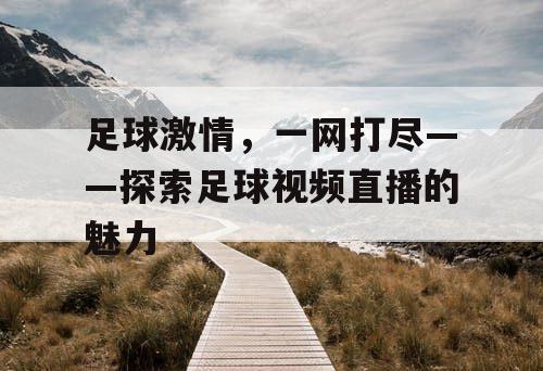 足球激情,一网打尽——探索足球视频直播的魅力 足球激情,一网打尽——探索足球视频直播的魅力