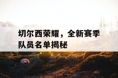 切尔西荣耀，全新赛季队员名单揭秘