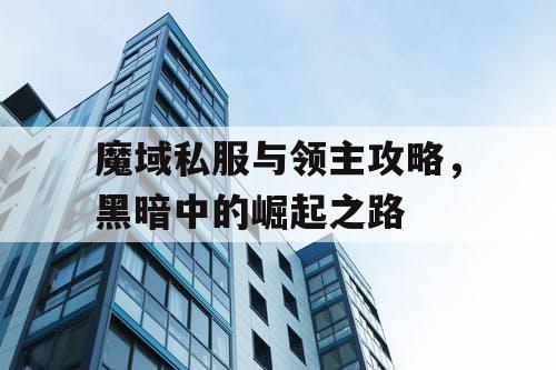 魔域私服与领主攻略，黑暗中的崛起之路