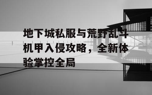 地下城私服与荒野乱斗机甲入侵攻略，全新体验掌控全局