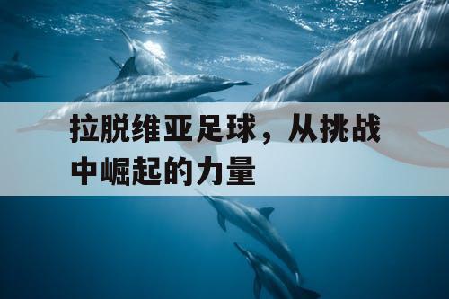 拉脱维亚足球，从挑战中崛起的力量