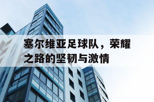 塞尔维亚足球队，荣耀之路的坚韧与激情