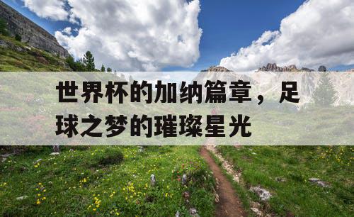 世界杯的加纳篇章，足球之梦的璀璨星光