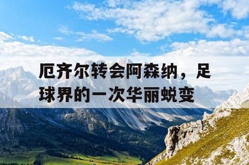 厄齐尔转会阿森纳，足球界的一次华丽蜕变