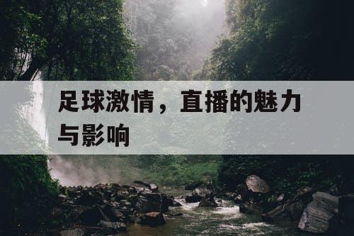 足球激情，直播的魅力与影响