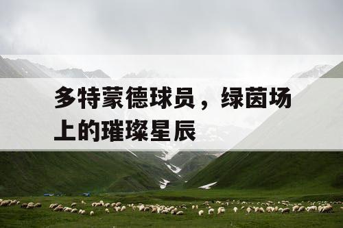 多特蒙德球员，绿茵场上的璀璨星辰