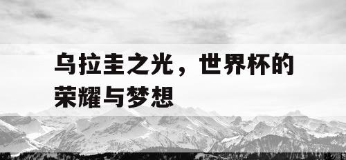 乌拉圭之光,世界杯的荣耀与梦想 乌拉圭之光,世界杯的荣耀与梦想