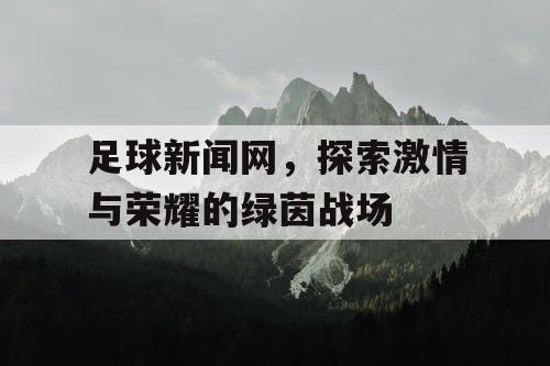 足球新闻网，探索激情与荣耀的绿茵战场