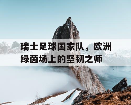 瑞士足球国家队，欧洲绿茵场上的坚韧之师