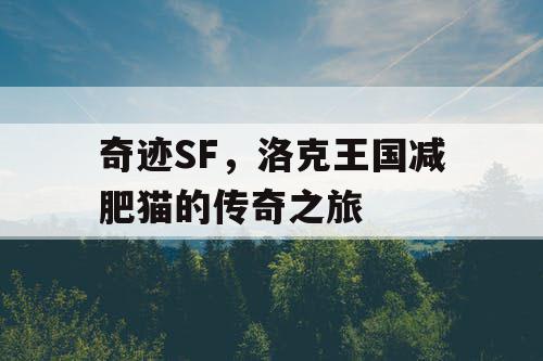 奇迹SF，洛克王国减肥猫的传奇之旅