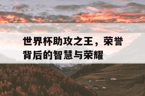 世界杯助攻之王，荣誉背后的智慧与荣耀