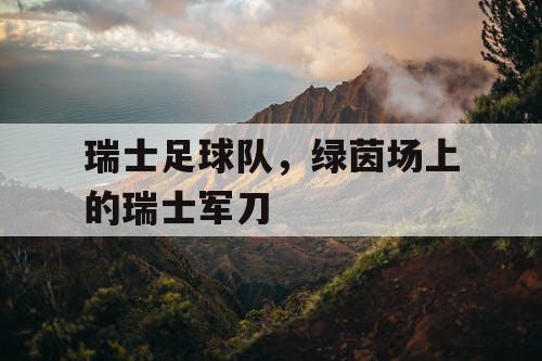 瑞士足球队，绿茵场上的瑞士军刀