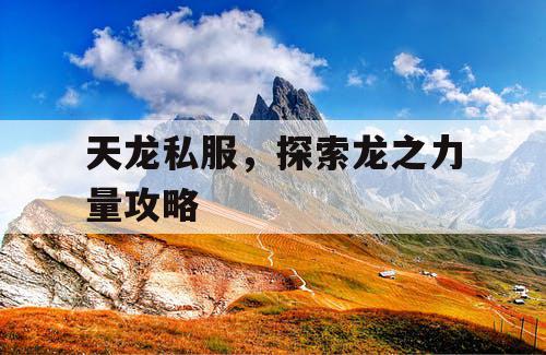 天龙私服，探索龙之力量攻略