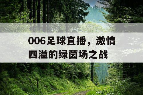 006足球直播，激情四溢的绿茵场之战