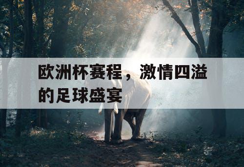 欧洲杯赛程，激情四溢的足球盛宴
