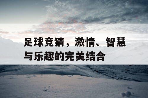 足球竞猜，激情、智慧与乐趣的完美结合
