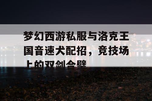 梦幻西游私服与洛克王国音速犬配招，竞技场上的双剑合璧