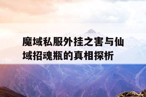 魔域私服外挂之害与仙域招魂瓶的真相探析