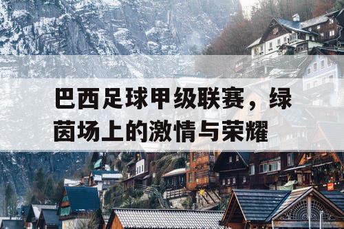 巴西足球甲级联赛，绿茵场上的激情与荣耀