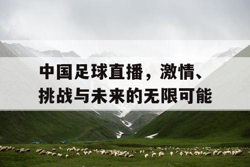 中国足球直播，激情、挑战与未来的无限可能