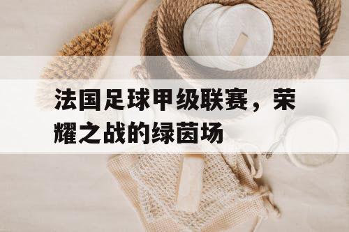 法国足球甲级联赛,荣耀之战的绿茵场 法国足球甲级联赛,荣耀之战的绿茵场
