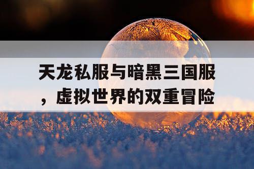 天龙私服与暗黑三国服,虚拟世界的双重冒险 天龙私服与暗黑三国服,虚拟世界的双重冒险