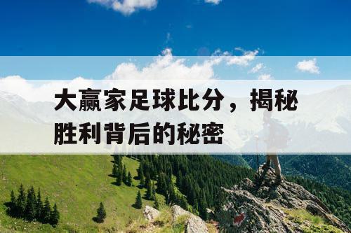 大赢家足球比分,揭秘胜利背后的秘密 大赢家足球比分,揭秘胜利背后的秘密