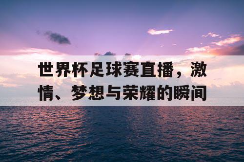 世界杯足球赛直播，激情、梦想与荣耀的瞬间