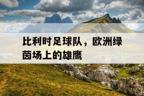 比利时足球队，欧洲绿茵场上的雄鹰