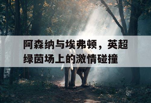 阿森纳与埃弗顿，英超绿茵场上的激情碰撞