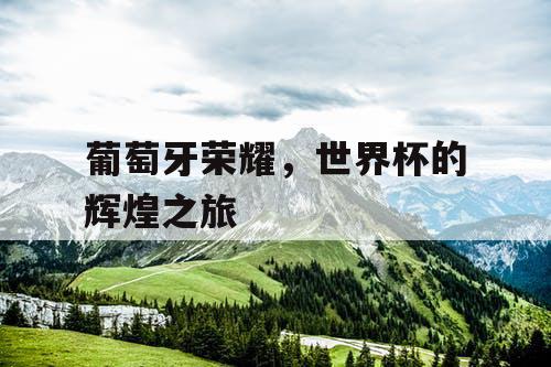 葡萄牙荣耀,世界杯的辉煌之旅 葡萄牙荣耀,世界杯的辉煌之旅