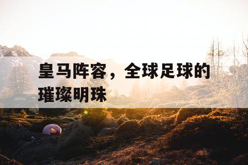 皇马阵容，全球足球的璀璨明珠